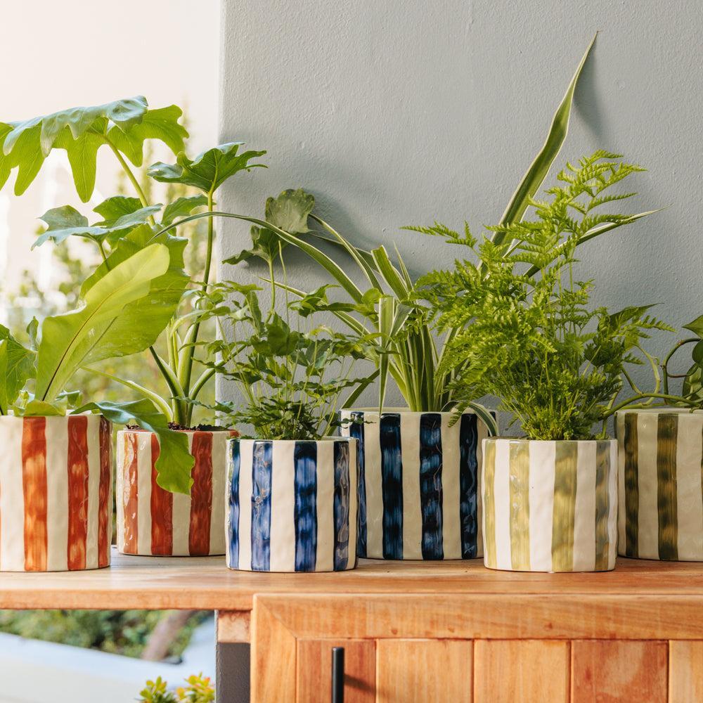 Home.Life Planter Natural Bold Stripe Forest-DÃ©cor