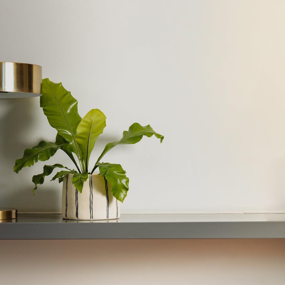Home.Life Planter Natural Double Stripe Black-DÃ©cor